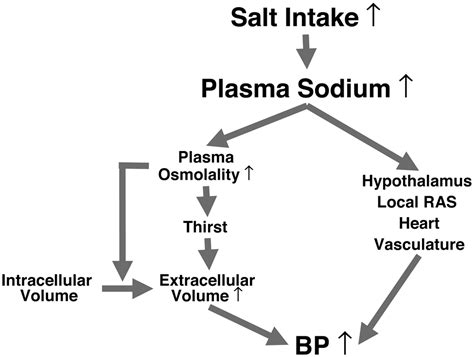 sodyum-potasyum hipertansiyonu